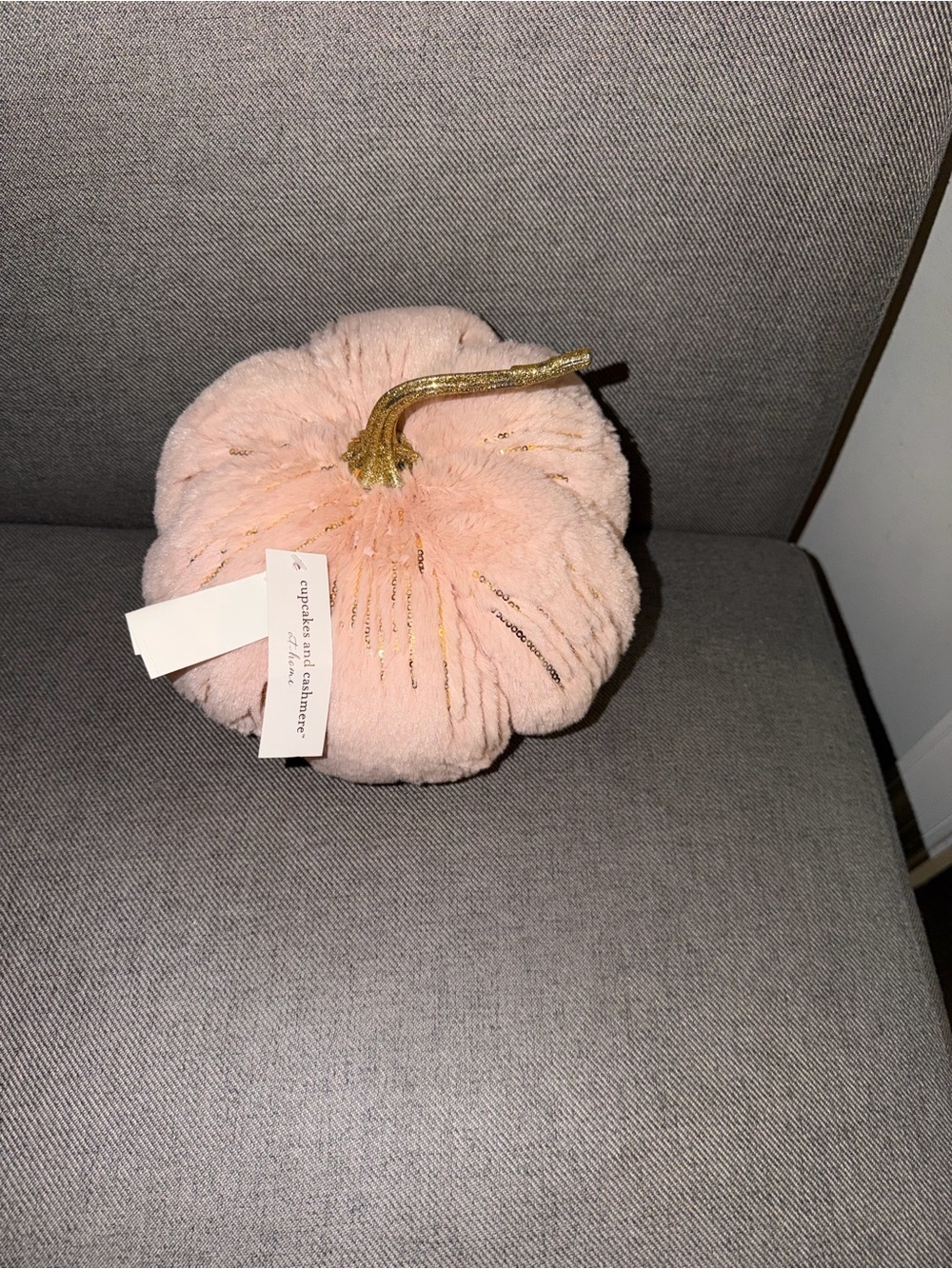 Cupcake and cashmere decorative pumpkin